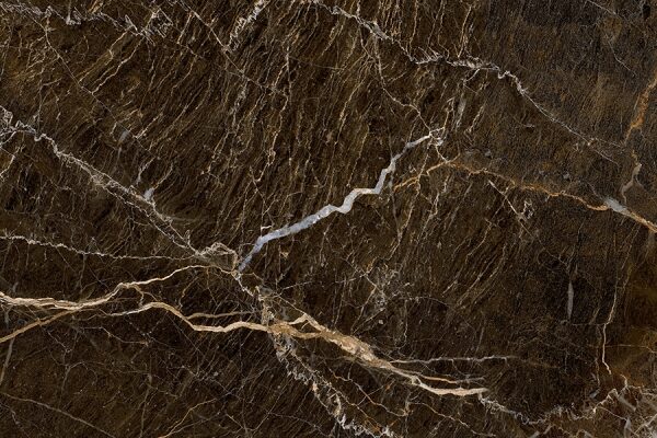 PORCELANATO RETIFICADO DAMME 61X120 ELEGANT BROWN POLIDO